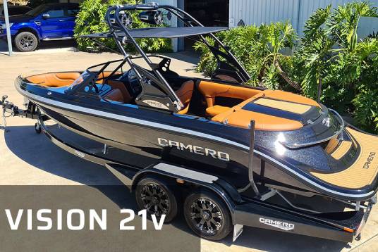 Vision 21v
